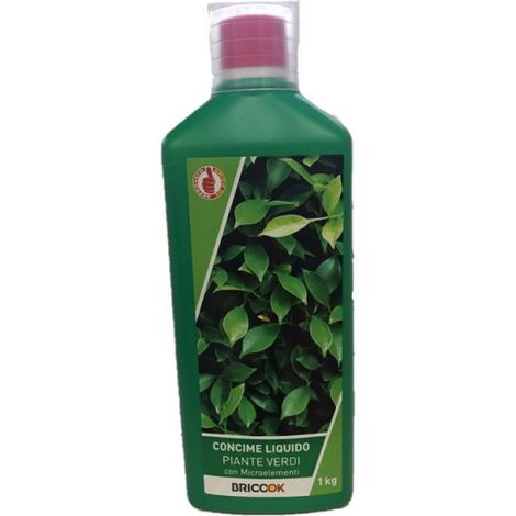 CONCIME PER PIANTE VERDI BRICO OK 1000G