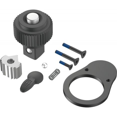Wera 9909 E 1 Kit de réparation de cliquet pour clés dynamométriques Click-Torque E 1-05547638001