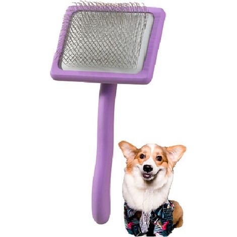 1 peigne de toilettage pour chiens (violet, bois de hêtre + acier inoxydable). (1/5)