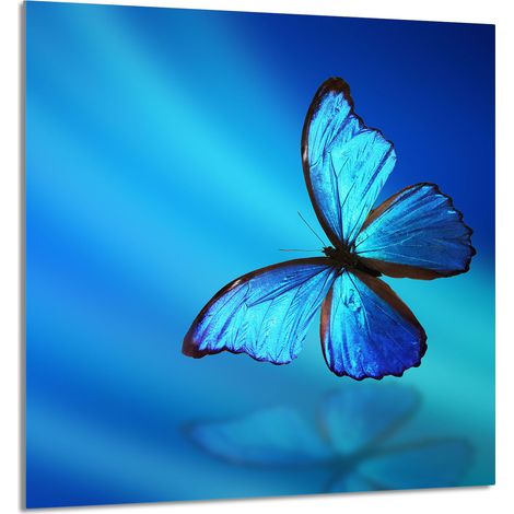 PANNELLO IN VETRO PER CUCINA 60x65 Butterfly (1/5)
