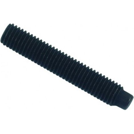 Vis sans tête à bout téton six pans creux (STHC) brut - 8 x 12 mm- Vendu par 200 (1/2)