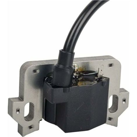 Module de Bobine D'allumage Compatible avec Honda GCV135 GCV160 GCV190 GSV160-- (1/4)