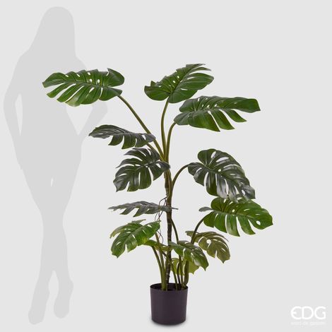 EDG Pianta Monstera Con Vaso H. 130 Cm