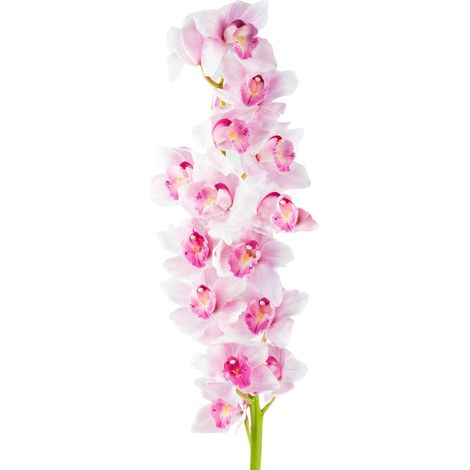 Ramo artificiale verde bianco e rosa "Cymb Chic" decorazione per interno da h 70 cm (1/2)