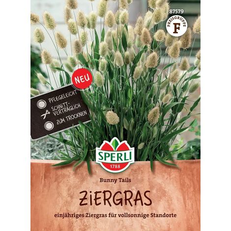 Sperli Ziergras Bunny Tails Hasenschwanzgras - Blumensamen (1/2)