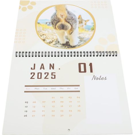 Calendrier annuel 2025 avec des fesses de chat - Agenda mural amusant en forme de boule de chat - Cadeau idéal pour la maison, un magasin, un hôtel ou un bureau (1/5)