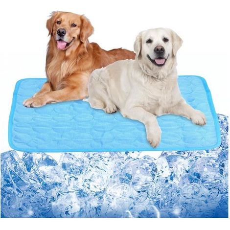 Tapis Rafraichissant - 100 x 70 cm - Grand - Matériau auto-refroidissant - Pour Chien et Chat (1/4)