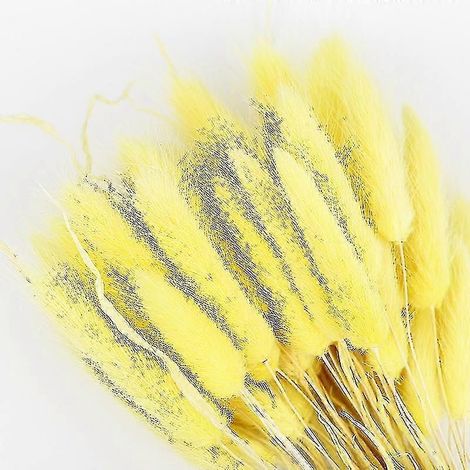 Décoration de fleurs séchées d'herbe de la pampa (1/5)
