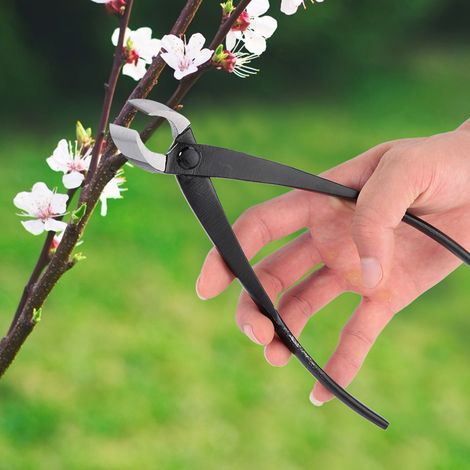 210 mm Gartenschere aus Stahl mit runder Schneide, geeignet für dicke Äste und Bonsai (1/5)