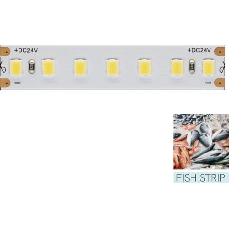 Striscia led per illuminare il banco alimenti del Pesce - Bobina da 5m 14,4W/M 95LM/W IP20 11.600K