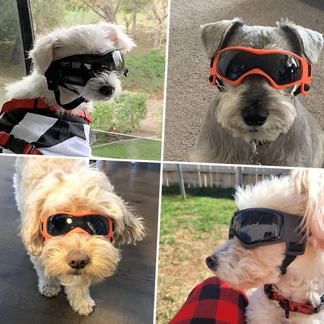 Filiyano-Lunettes pour chien anti-UV, imperméables, coupe-vent et réglables pour S (1/5)