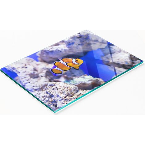Dekoratives Küchenschneidebrett aus Glas, Nemo Korallenriff, 80 x 52 cm (1/5)