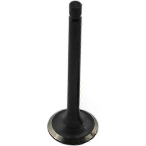 Válvulas de admisión y escape para motores de motocicleta Suzuki DRZ250 DR-Z DRZ 250 2001-2007 DR250 1998-2000 DJEBEL 250 (1 válvula de escape) (1/3)