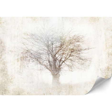Carta da parati standard in tessuto non tessuto - 100 x 70 cm - naturale Carta da parati standard in tessuto non tessuto - 500 x 350 cm - naturale