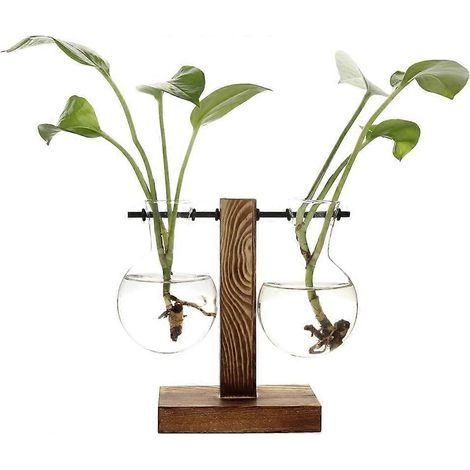 Vases hydroponiques vintage, vase transparent, cadre en bois et verre pour plantes de table, décoration