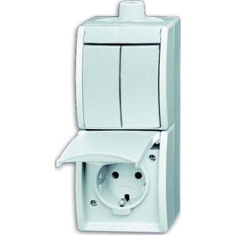 Busch-Jaeger Kombination SCHUKO Steckdose, mit Wipp. 2601/5/20EW-54-503 (1/3)