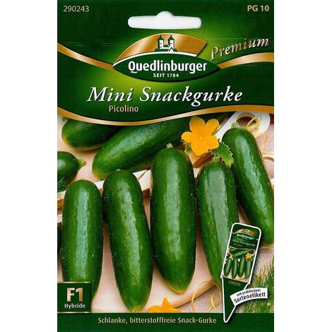 Quedlinburger Mini Snackgurke Picolino - Gemüsesamen (1/2)