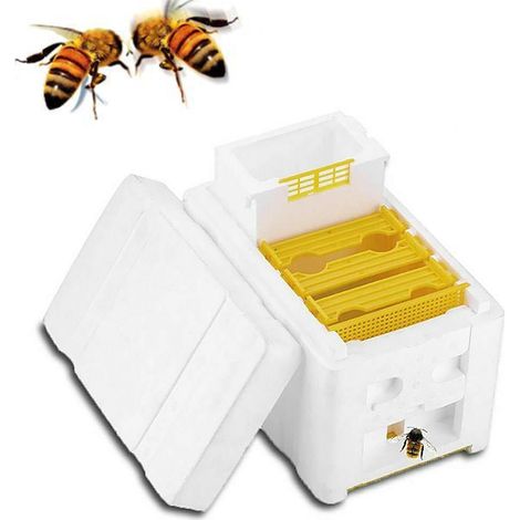 BEBUSINGOTO Herramientas de apicultura Caja de apareamiento de abejas Caja de cría de espuma Caja de polinización Caja de cría de doble capa (1/5)