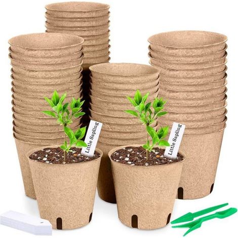 Godets Pour Semis - Fibre Biodégradable - Diamètre 8 cm - Pour Repiquage Direct - Lot de 50 (1/5)