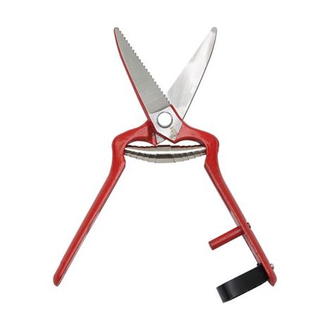 Forbici vintage dritte 19cm 1027 papillon (1/2)