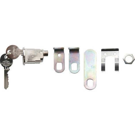 Renz – Serrure de boîte aux lettres La Poste – Sécurité renforcée – Installation rapide – 2 clés fournies – Compatible avec boîtes normalisées