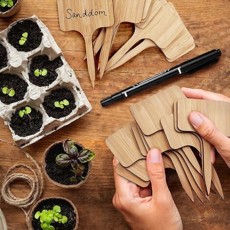 50 Pieces Étiquette de Plante Semis, Etiquette Jardin Potager Plantation, Exterieur Bambou Plante en Bambou D'étiquette en Bois Marqueurs de T-Type (1/4)