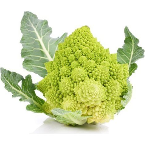 Semi di cavolfiore "romanesco natalino" piante per orto e giardino coltivazione domestica e professionale