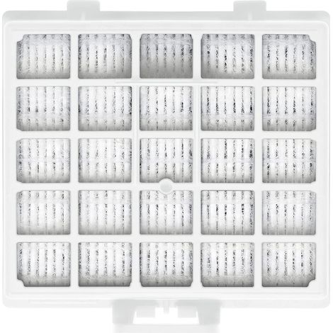 Bosch BBZ153HF - Filtro HEPA per aspirapolvere della serie BSG6 (1/3)