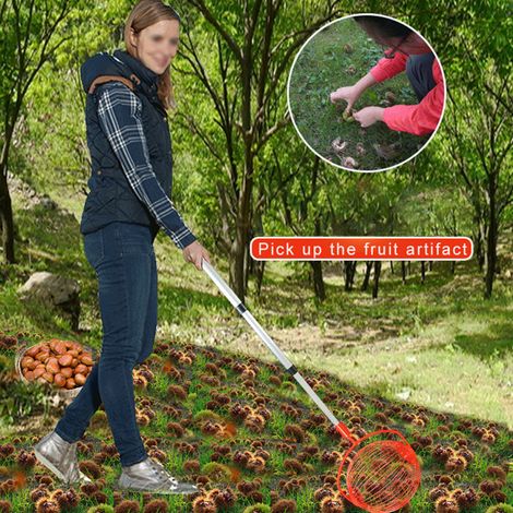 Ramasse-noix roulant ajustable et léger pour pelouse et jardin (1/5)