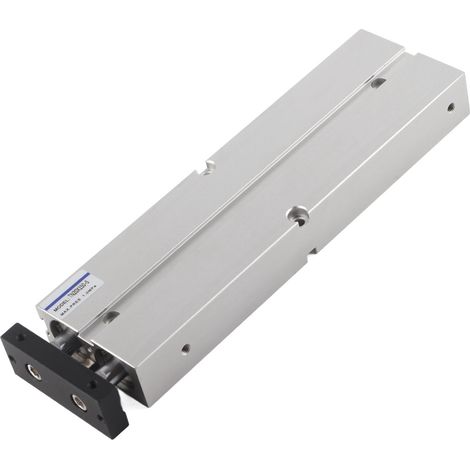 Vérin pneumatique double tige 20mm alésage course 150mm pour automatisation (1/5)