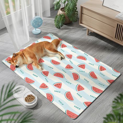 Tapis rafraîchissant pour animaux de compagnie 45x60cm-Pastèque (1/5)