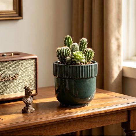 Pot de fleurs individuel en céramique artisanale (Ø 23 cm), vert foncé brillant avec bord rainuré vertical, respirant, résistant au gel et muni de trous de drainage, idéal pour les petites plantes d'i (1/4)