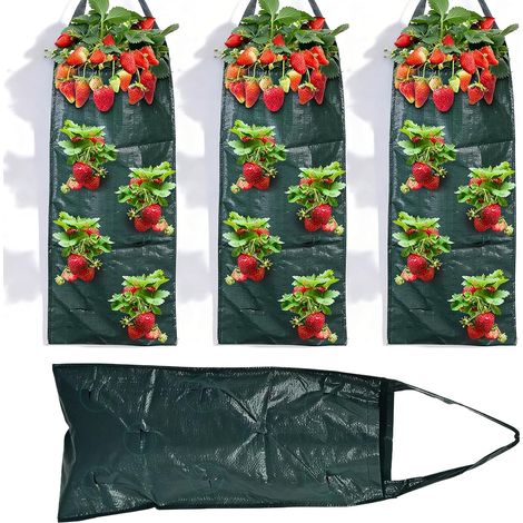 Lot de 4 sacs de plantation à la fraise : 25 × 60 cm, sacs de plantation suspendus avec poignées, sacs de plantation pour l'extérieur avec 10 trous, sacs de plantation suspendus à l'extérieur (1/5)