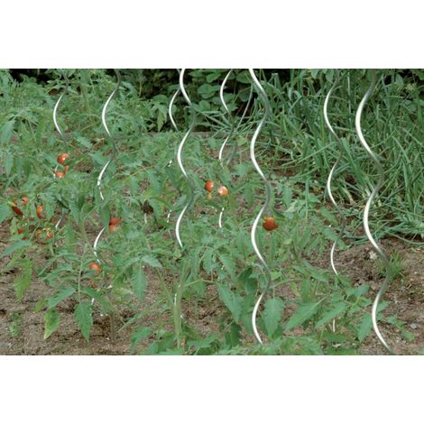 Estaca de tomate 180 cm galvanizado (Per 10) (1/3)