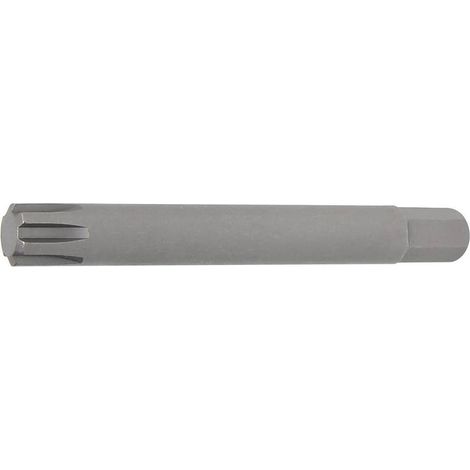 Douilles à Embouts 100 mm - Profil Cannelé M12, 10 mm (3/8) - Précision et Compatibilité RIBE - D-Work (1/4)