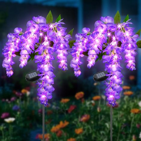 Lampe Solaire Exterieur Jardin, 2 Piéces Lumière en Glycine avec LED Violette, 2 Modes Décoration Jardin Extérieur Solaire Étanche, Éclairage Solaires Deco pour Patio Allée Cour Porche Noël (1/5)