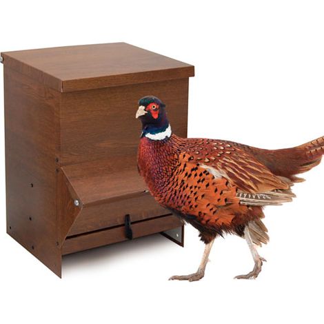 Tolva para Aves de Corral - Chapa Imitación Madera, Evita la Contaminación Visual - Comedero para Gallinas - Capacidad 20L - Pienso (1/3)