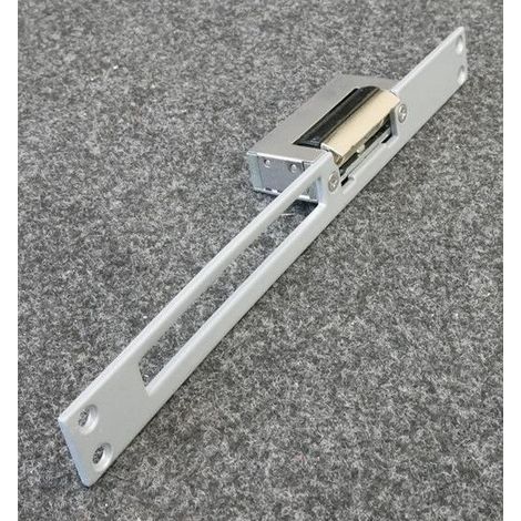 Gache symétrique 10/24V 67x21x28mm 2 temps 67mm inox + têtière inox 250x25x3mm CDVI (1/2)