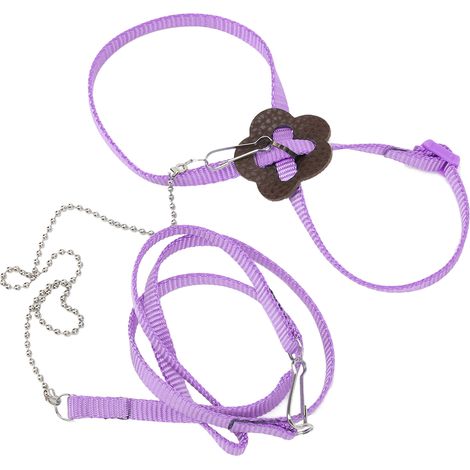 Harnais pour reptiles lézard réglable, corde de Traction de contrôle de plomb de marche pour Reptiles transportant en plein air WalkingPurple (1/5)