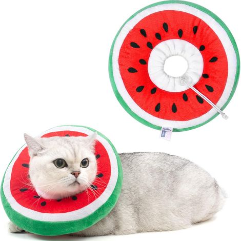 Collier conique souple et ajustable pour chat, collier de convalescence mignon pour chat, cônes post-opératoires pour chatons (1/5)