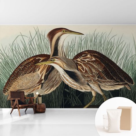 Tapete Vliestapete mit Kleber für Wohnzimmer Schlafzimmer Küche - Wanddekoration Realistische Vögel 416x254 cm (1/5)