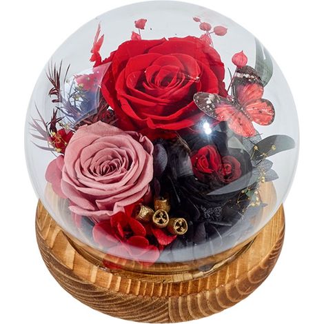 Roses Préserverées - Dôme En Verre Avec Éclairage LED - Décoration Florale Éternelle Pour Intérieur - 1 Pièce (1/5)