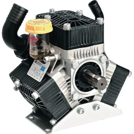 Pompe BERTOLINI 635000973VS