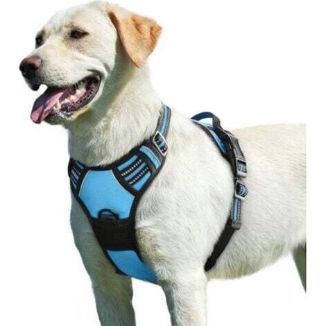 Bleu Clair, L , Harnais Chien, Harnais Anti Traction pour Chien Réfléchissant Réglable, Facile à Mettre, avec Poignée Contrôle, Arnet pour Chien Respirant, Durable, Harnais pour Chien Moyen et Grand (1/4)