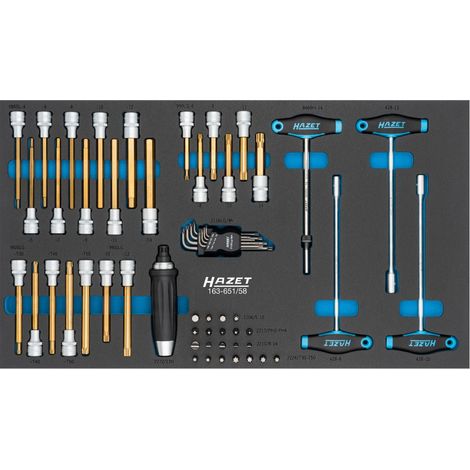 HAZET JEU D'OUTILS 163-651/58, 58 PIÈCES, AVEC POIGNÉE EN T, DOUILLES, TOURNEVIS COUDÉS, JEU D'EMBOUTS, INSERT SYSTÈME POUR SERV