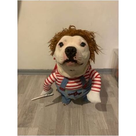 TAISHENGDA-Hundekostüm Neuheit, lustige Haustiere, Partykleidung, Cosplay, Haustierkleidung, entworfen für große und mittelgroße Kleidung (S) (1/5)