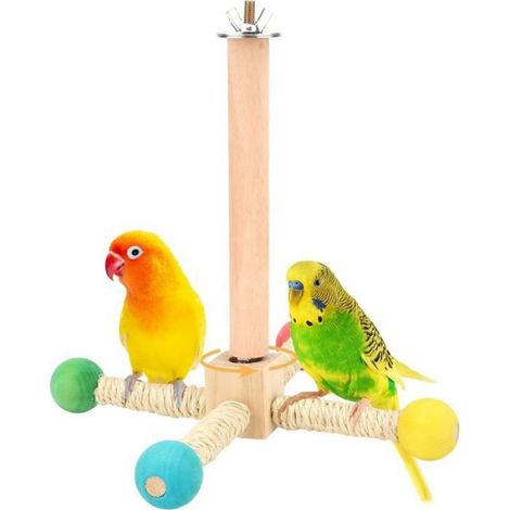 Perchoir Rotatif - Bois Naturel - Pour Perruches Inséparables Pinsons Conures - 21 x 19 cm - 2 Places (1/5)