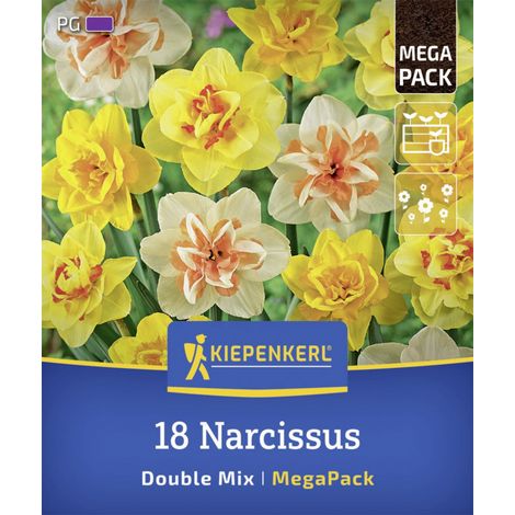 Kiepenkerl Herbstblumenzwiebelmischung Mega-Pack Gefüllte Narzissen 18 Stück (1/2)