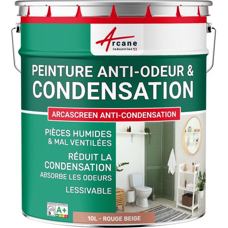 Peinture anti condensation, anti odeur, moisissure - 10 L Rouge beige - RAL 3012 - ARCANE INDUSTRIES (1/5)
