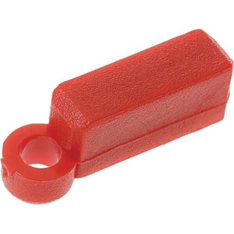 Passfeder rot LEMKEN 4818504